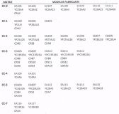 MATRIZ CC-0 AL CIRCULAR