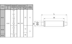 FUSIBLE 10/24KV 5KP 100A(1/3)